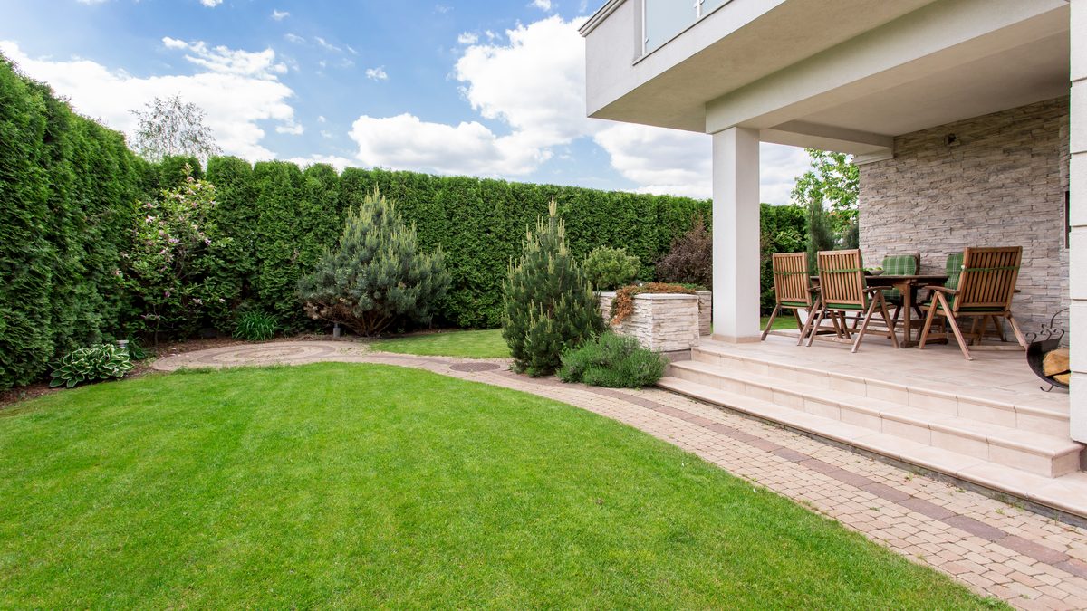 Gemähter Rasen mit Terrasse, Sträuchern und dichtem Heckenrand